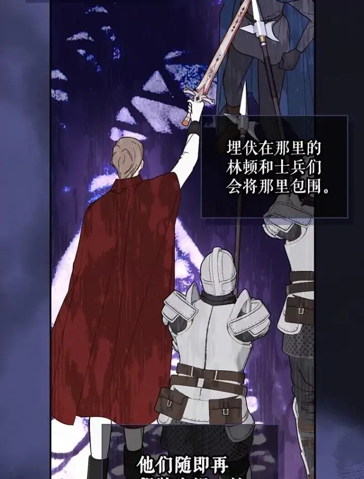 漫画《如何隐藏皇帝的孩子》95.母亲的日记第14张图