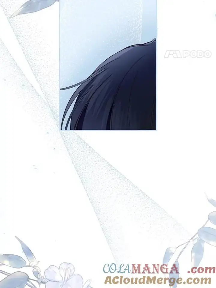 漫画《如何隐藏皇帝的孩子》95.母亲的日记第17张图