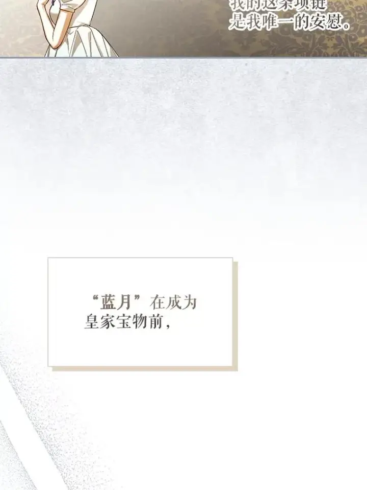 漫画《如何隐藏皇帝的孩子》95.母亲的日记第28张图