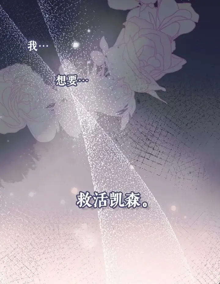 漫画《如何隐藏皇帝的孩子》95.母亲的日记第35张图