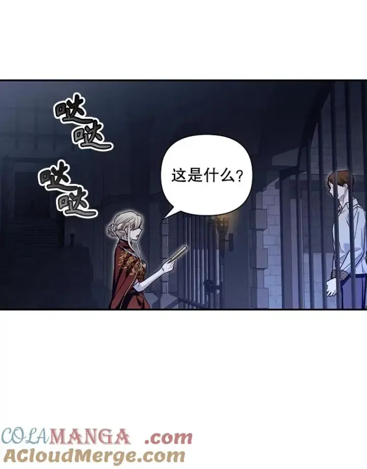 漫画《如何隐藏皇帝的孩子》95.母亲的日记第61张图