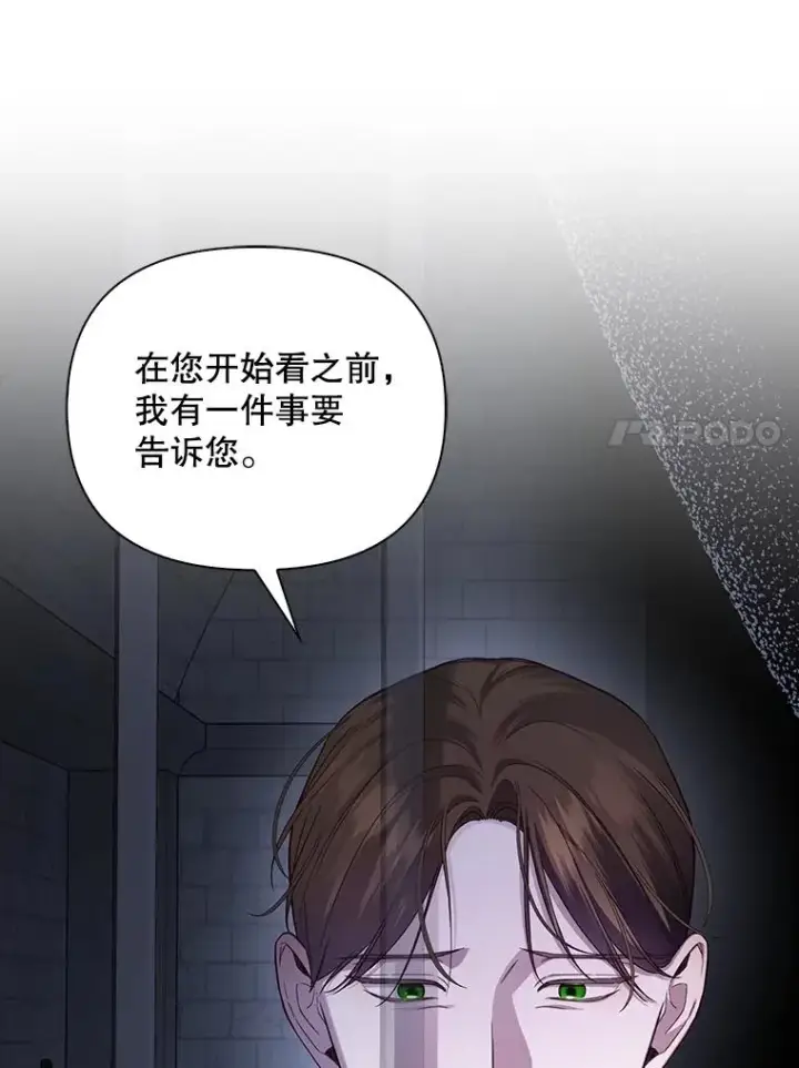 漫画《如何隐藏皇帝的孩子》95.母亲的日记第67张图