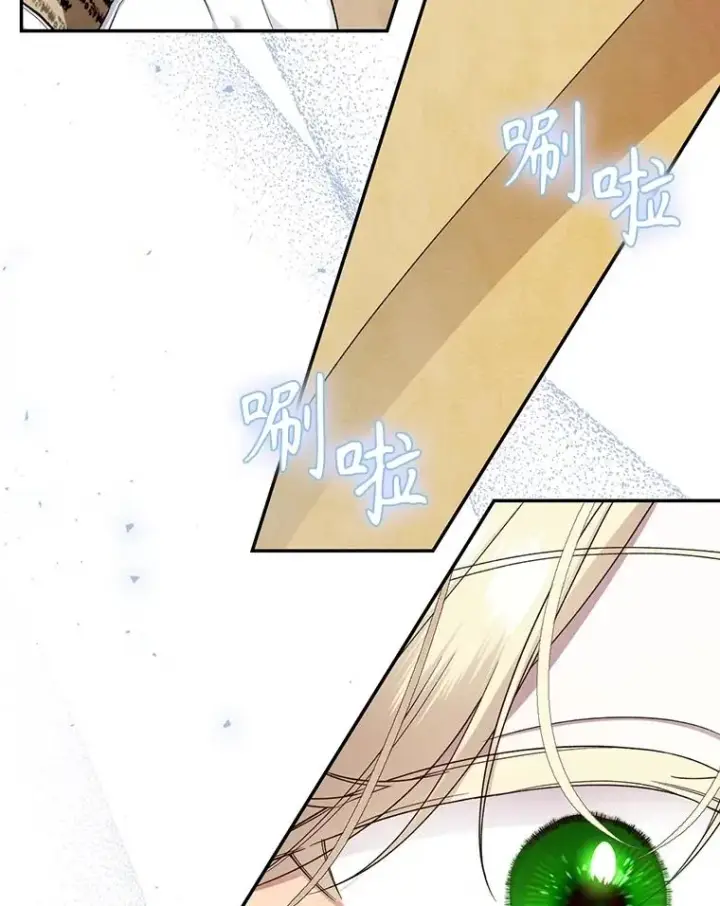 漫画《如何隐藏皇帝的孩子》95.母亲的日记第78张图
