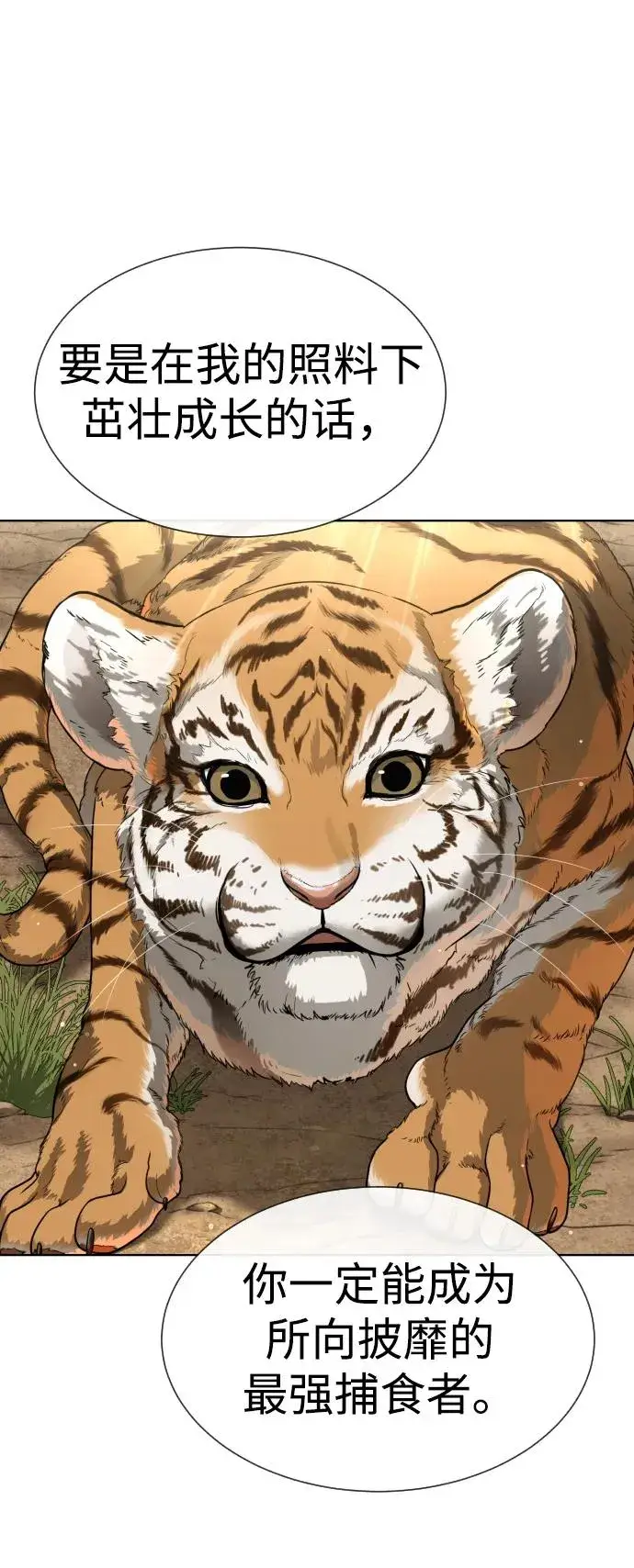 漫画《杀手巴德罗》[第19话] 老虎幼崽第131张图