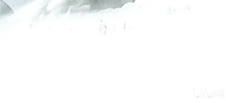 漫画《杀死男主然后成为女魔头》105 困兽第40张图