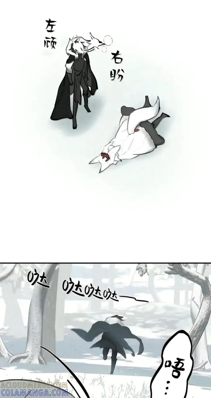 漫画《杀死男主然后成为女魔头》107 白狐vs黑鸦(上)第37张图