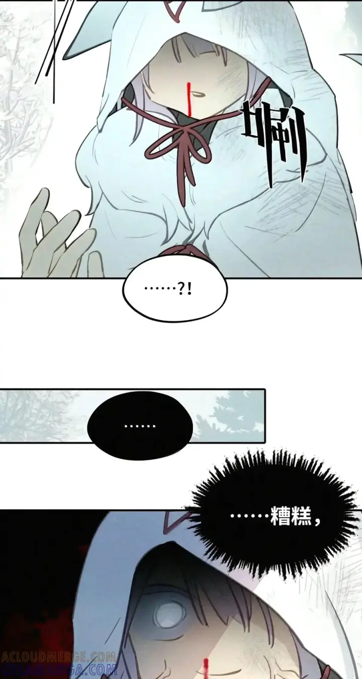 漫画《杀死男主然后成为女魔头》107 白狐vs黑鸦(上)第39张图