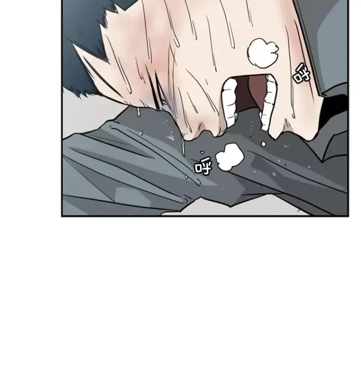 漫画《鲨鱼》11.履行约定第12张图