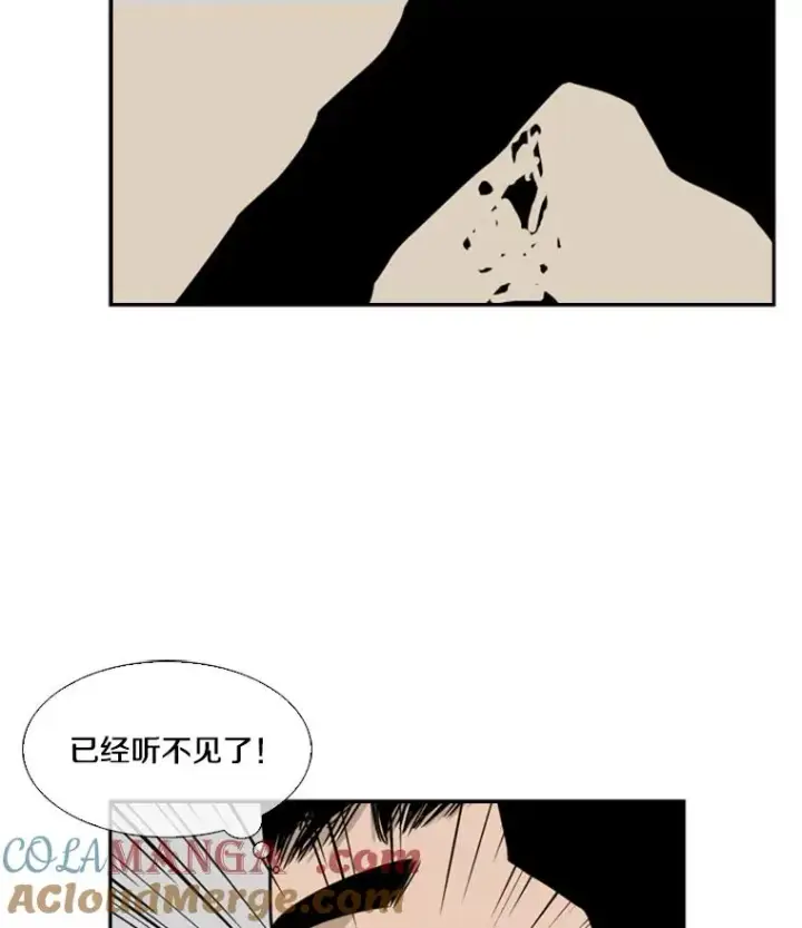 漫画《鲨鱼》11.履行约定第33张图