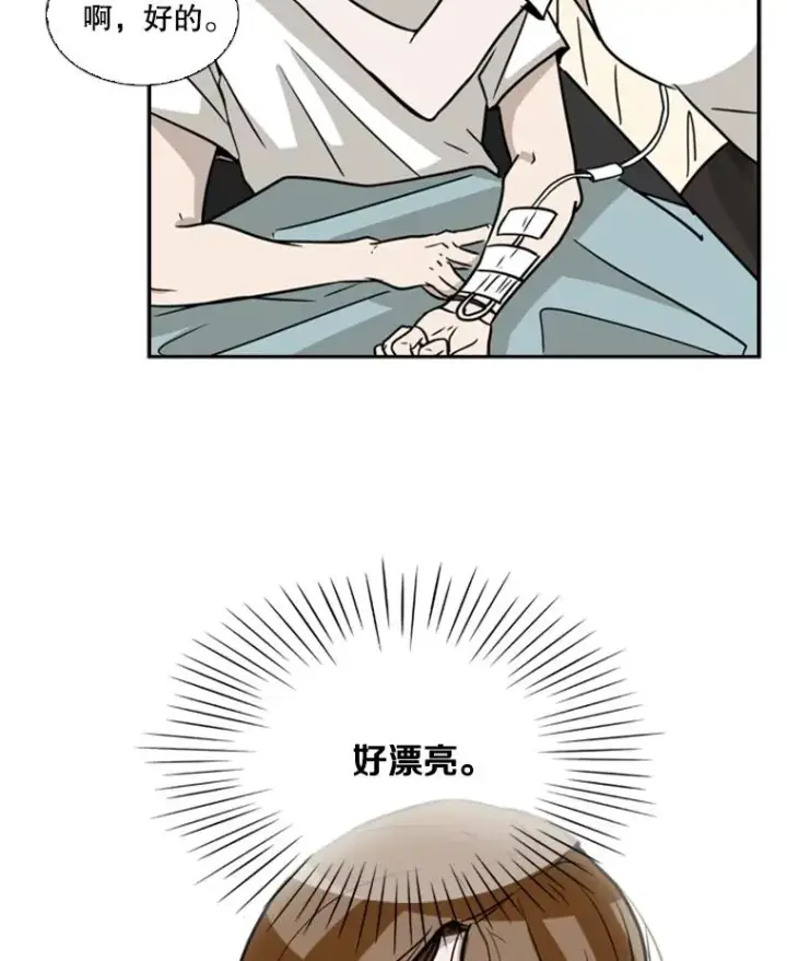 漫画《鲨鱼》11.履行约定第62张图