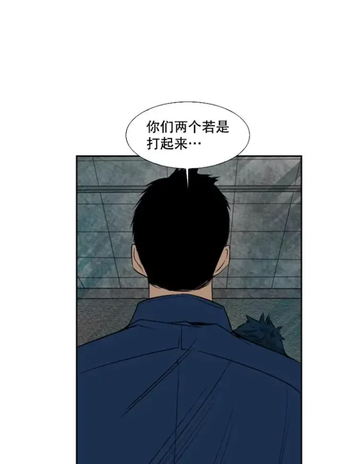 漫画《鲨鱼》121.迎接比赛第26张图