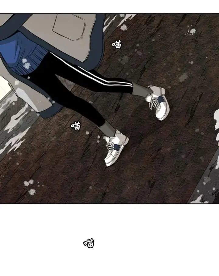 漫画《鲨鱼》121.迎接比赛第94张图