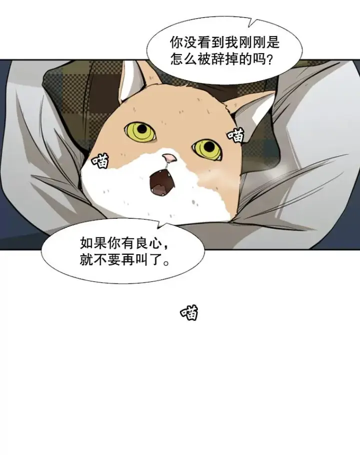 漫画《鲨鱼》121.迎接比赛第95张图