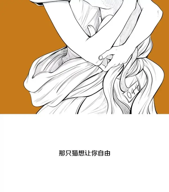 漫画《鲨鱼》124.外传3.那只猫想让你自由第4张图