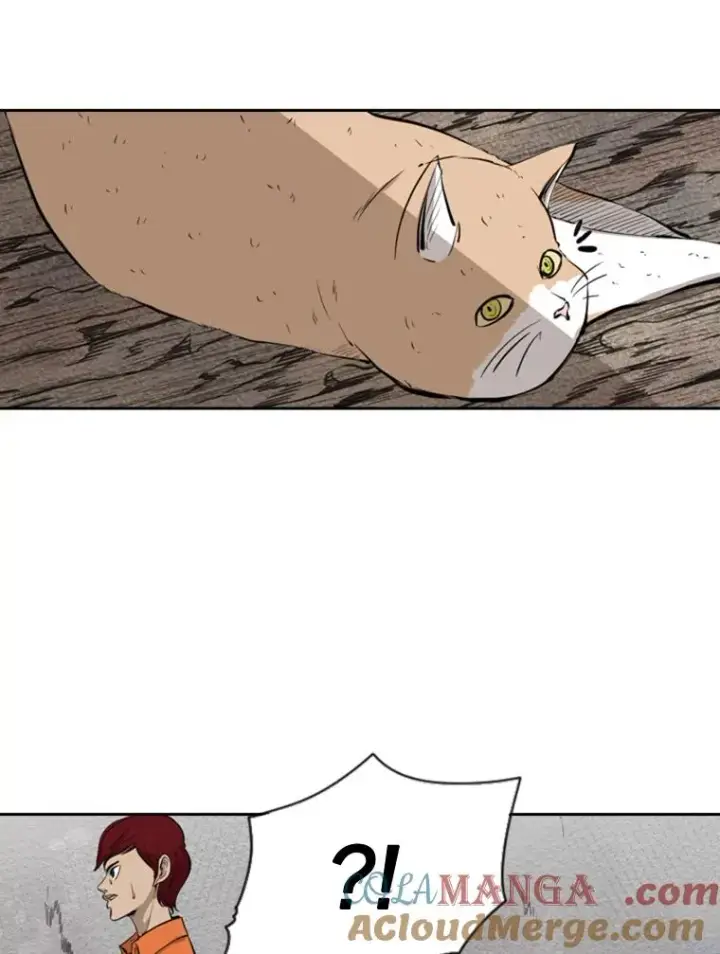 漫画《鲨鱼》124.外传3.那只猫想让你自由第57张图