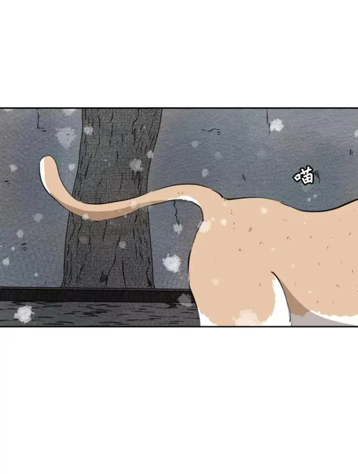 漫画《鲨鱼》124.外传3.那只猫想让你自由第79张图
