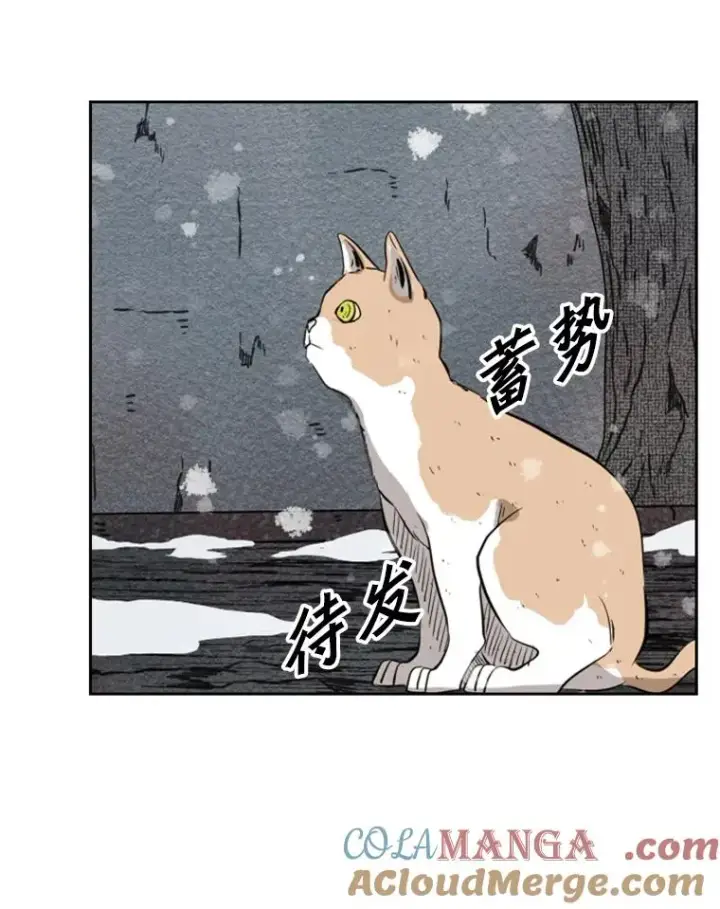 漫画《鲨鱼》124.外传3.那只猫想让你自由第89张图