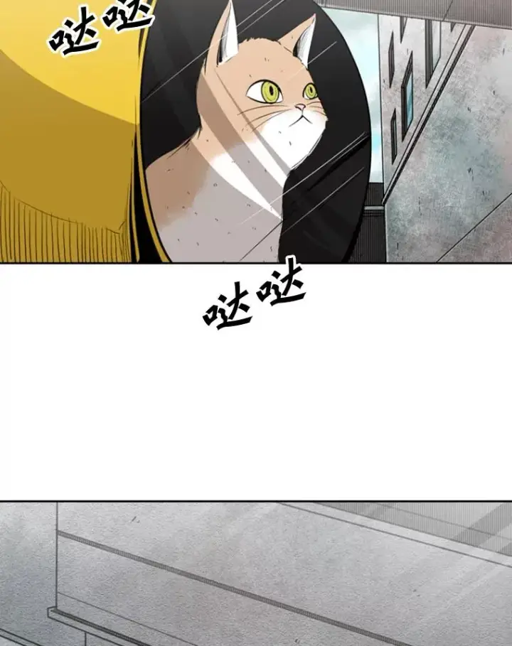 漫画《鲨鱼》127.报名第47张图