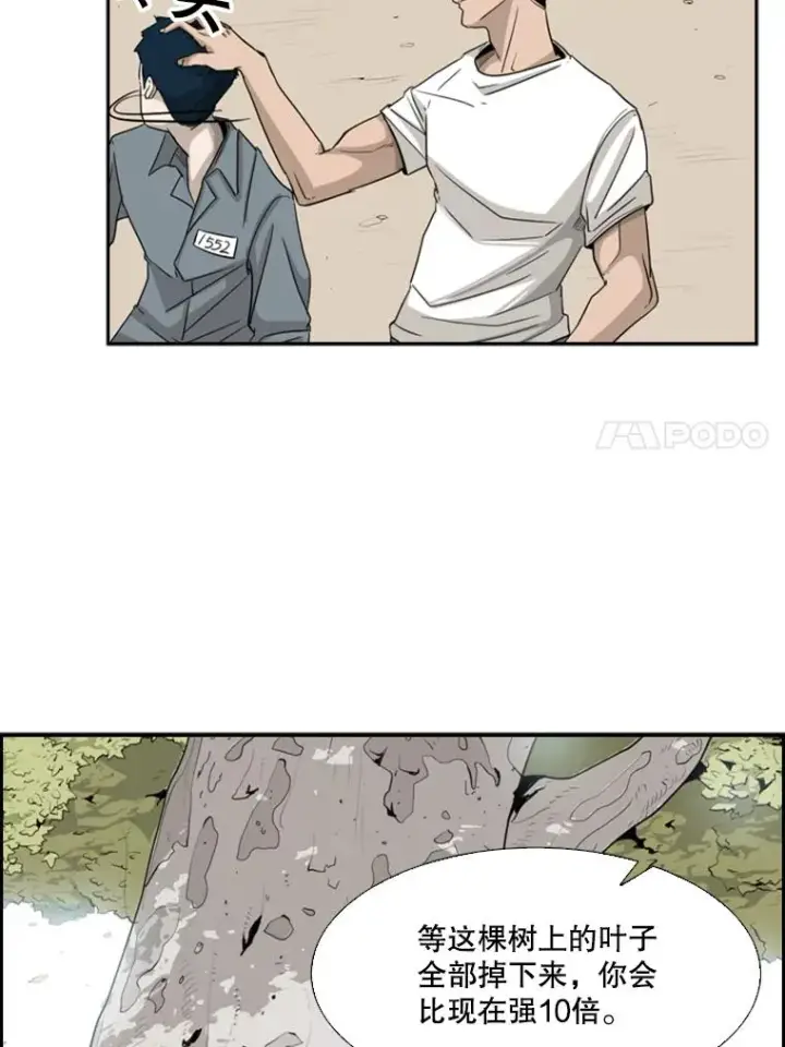 漫画《鲨鱼》14.锻炼第47张图