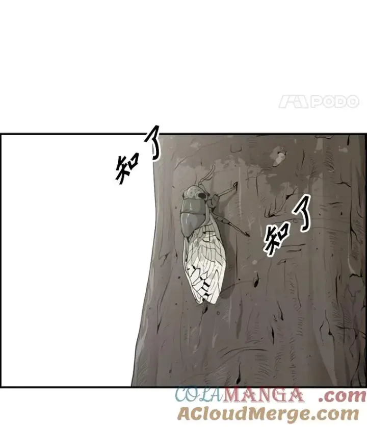 漫画《鲨鱼》14.锻炼第89张图