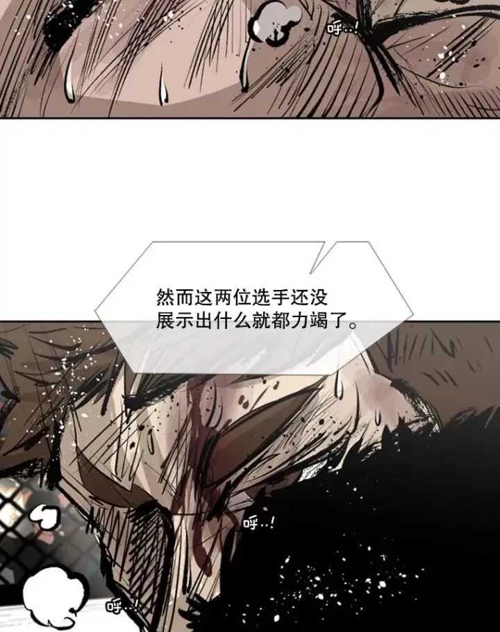 漫画《鲨鱼》150.这是属于我的擂台第76张图