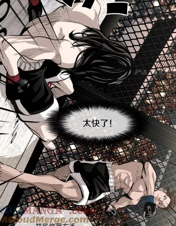 漫画《鲨鱼》152.柔术对抗泰拳第22张图