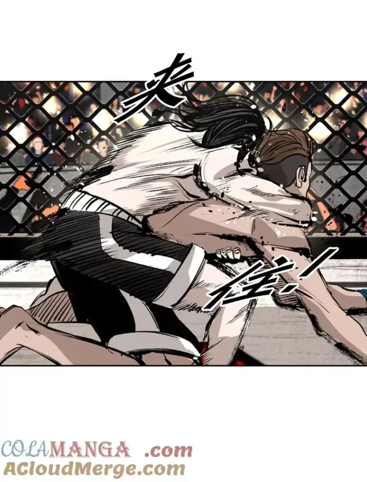 漫画《鲨鱼》152.柔术对抗泰拳第37张图