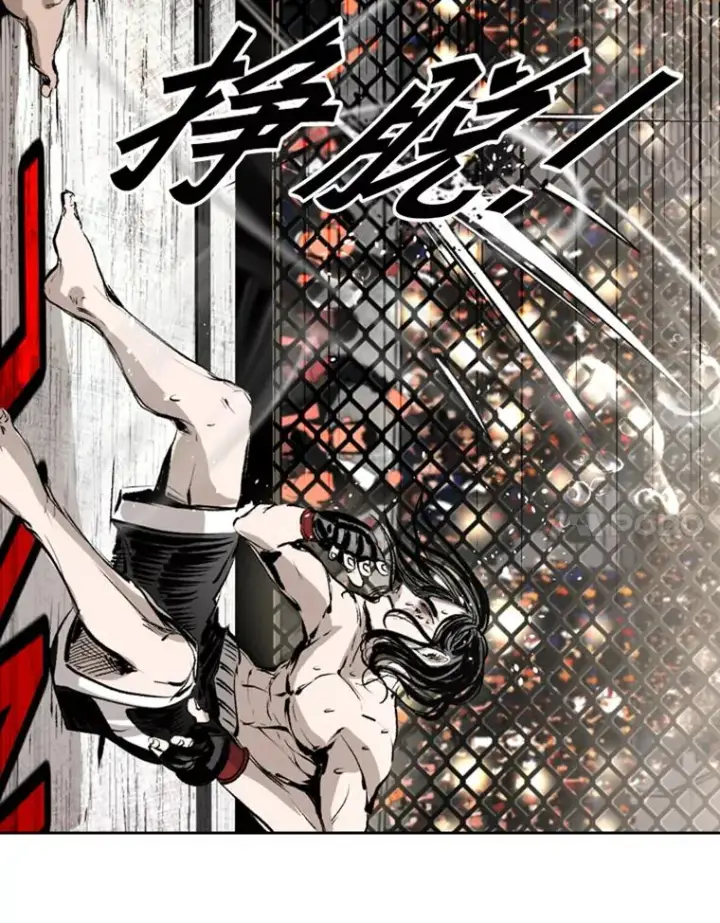 漫画《鲨鱼》152.柔术对抗泰拳第48张图