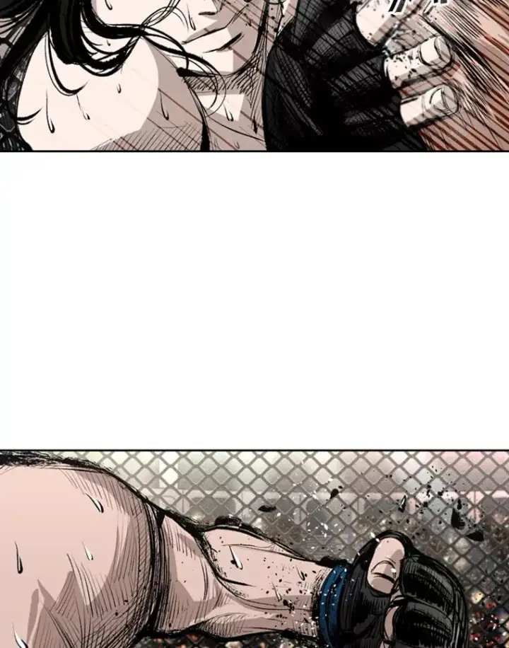 漫画《鲨鱼》152.柔术对抗泰拳第74张图