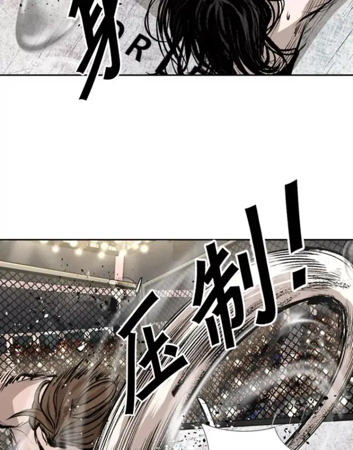 漫画《鲨鱼》152.柔术对抗泰拳第84张图