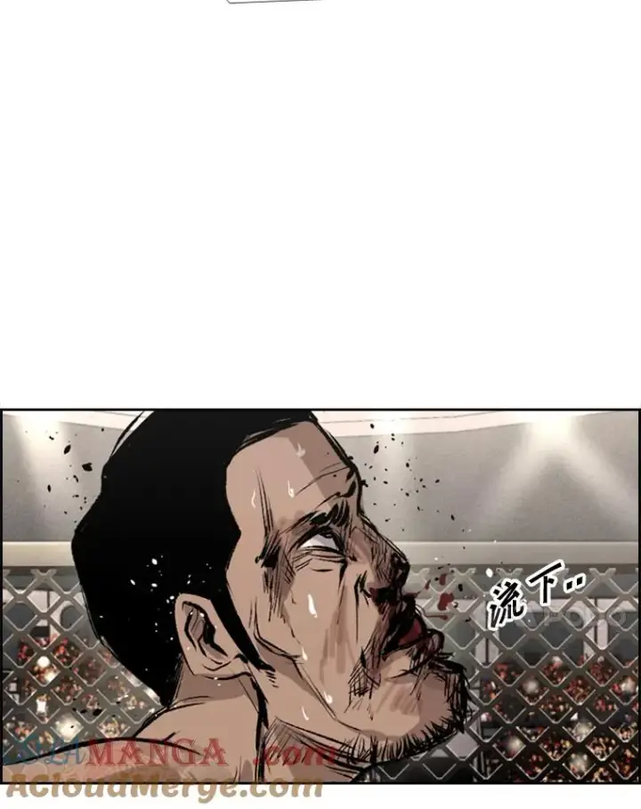 漫画《鲨鱼》153.女王马蜂第101张图