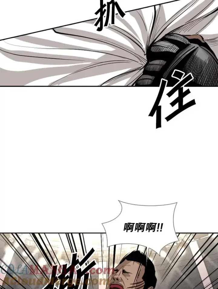 漫画《鲨鱼》153.女王马蜂第33张图