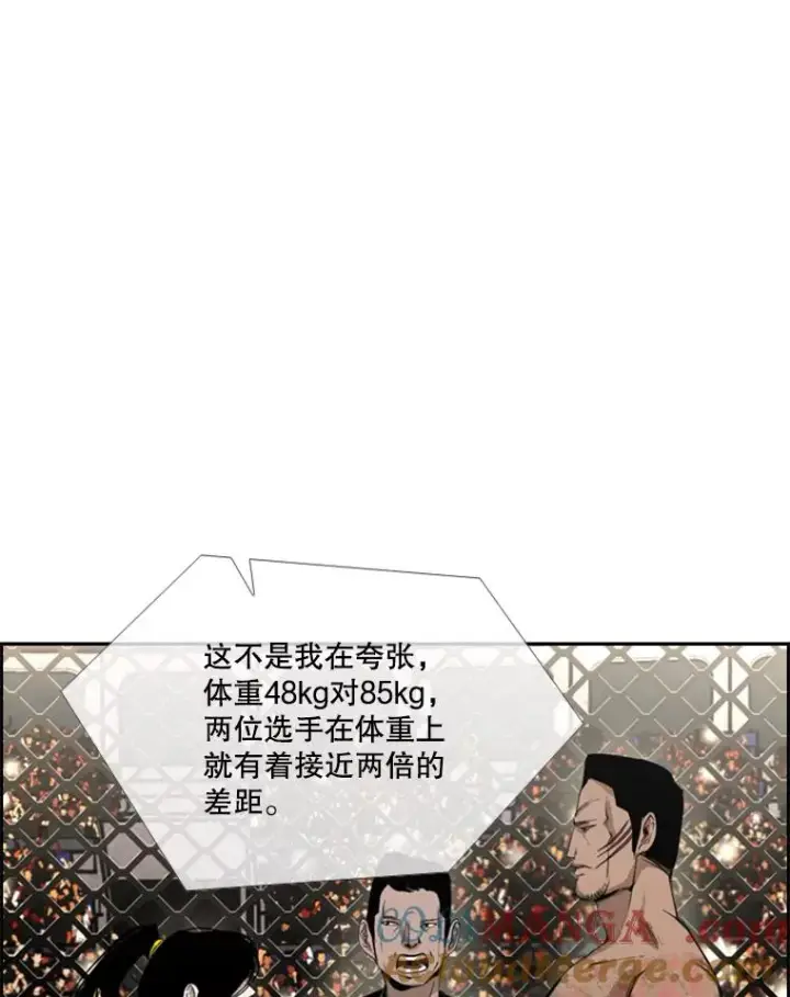 漫画《鲨鱼》153.女王马蜂第37张图
