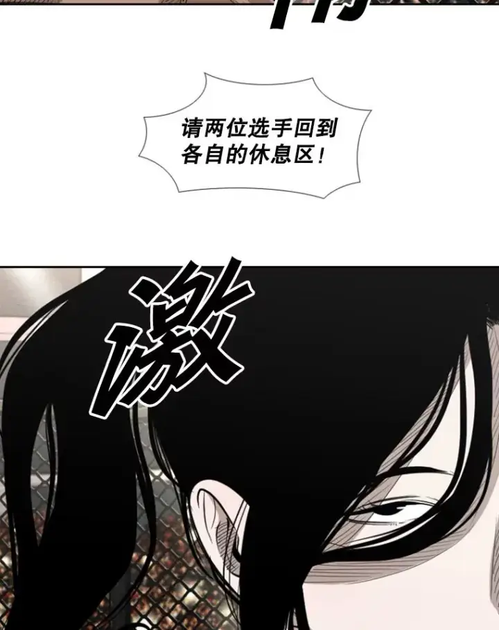 漫画《鲨鱼》153.女王马蜂第40张图