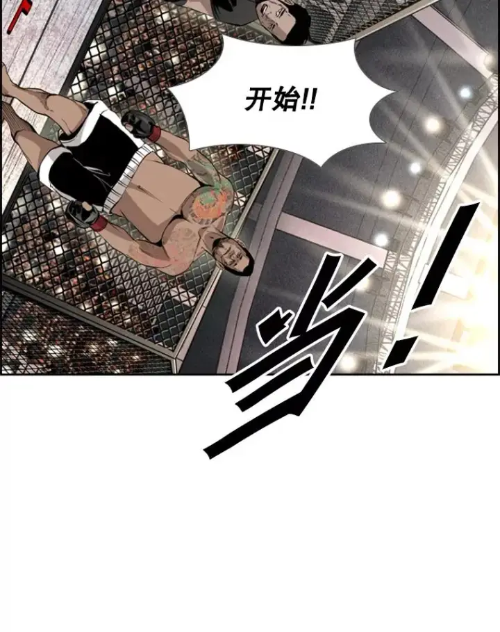 漫画《鲨鱼》153.女王马蜂第43张图