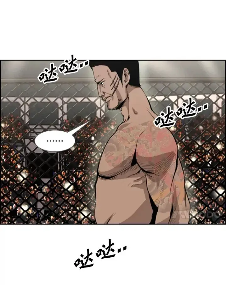 漫画《鲨鱼》153.女王马蜂第44张图