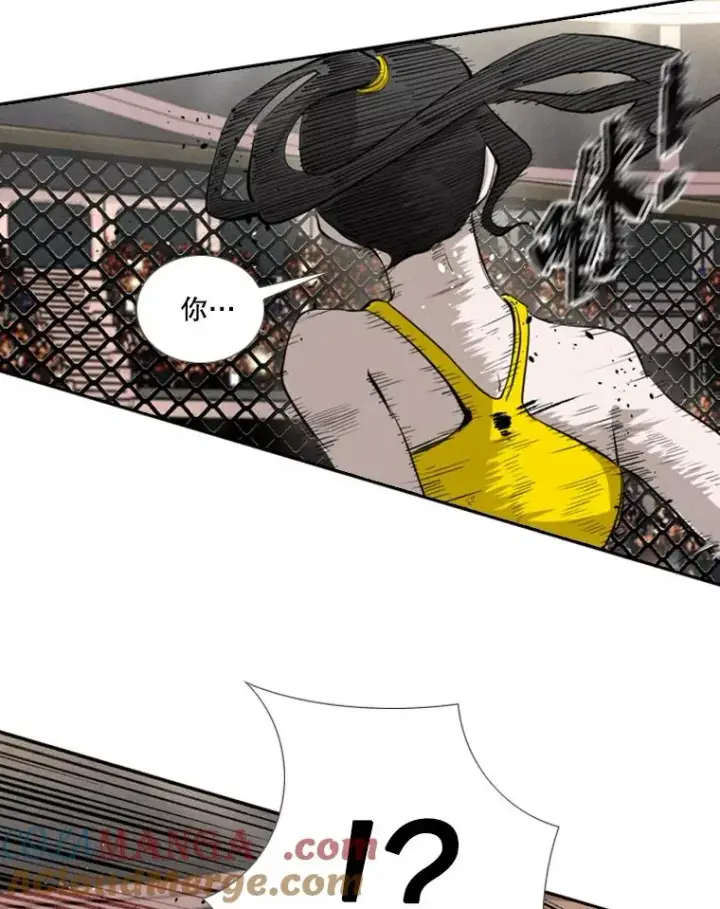 漫画《鲨鱼》153.女王马蜂第49张图