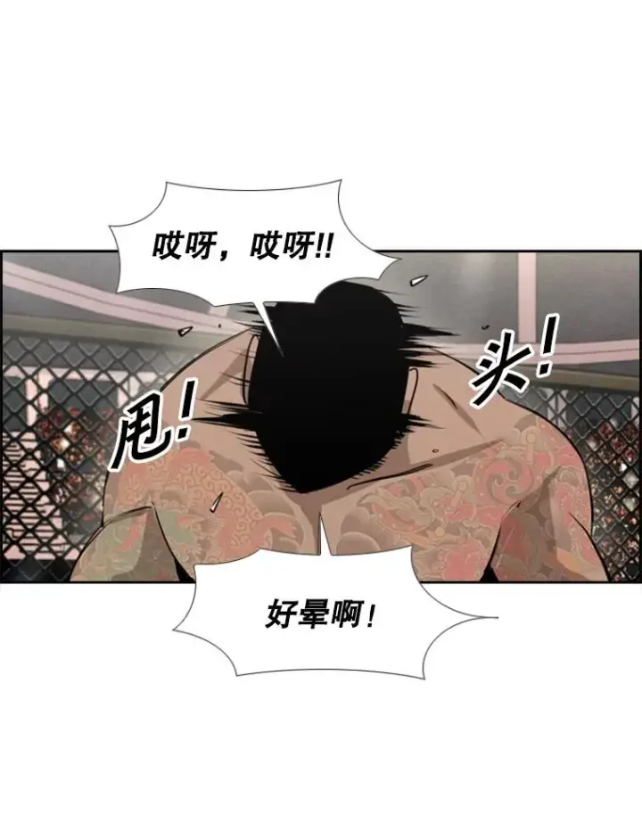 漫画《鲨鱼》153.女王马蜂第56张图