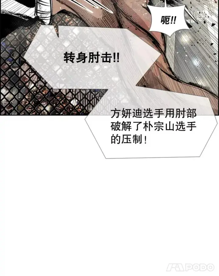 漫画《鲨鱼》153.女王马蜂第95张图