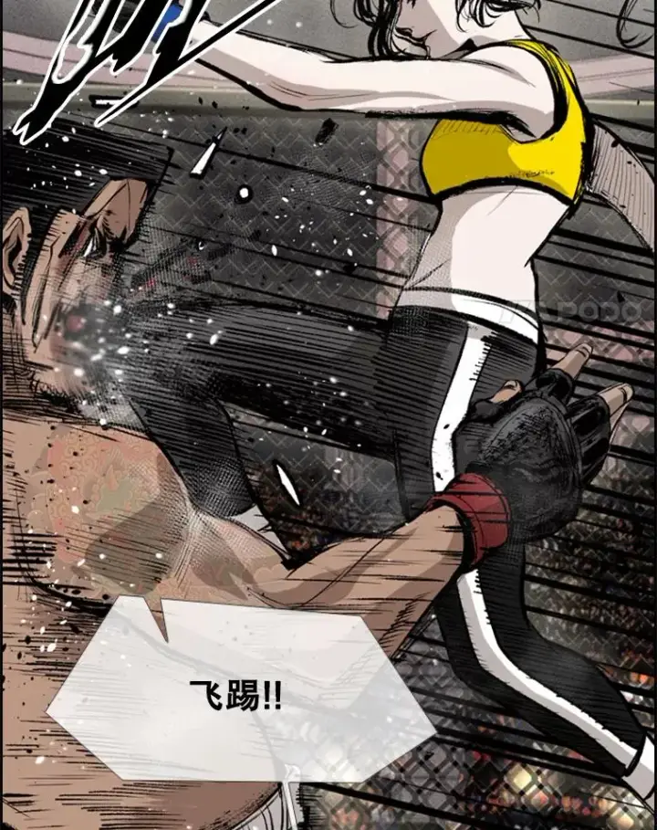 漫画《鲨鱼》153.女王马蜂第98张图