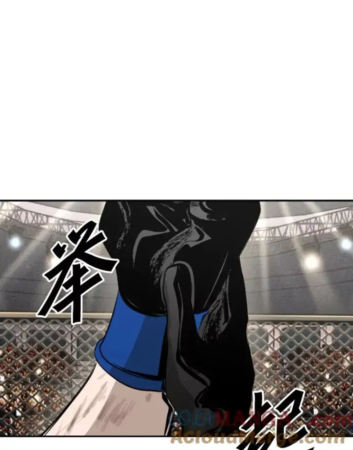 漫画《鲨鱼》154.截拳道的威力第25张图
