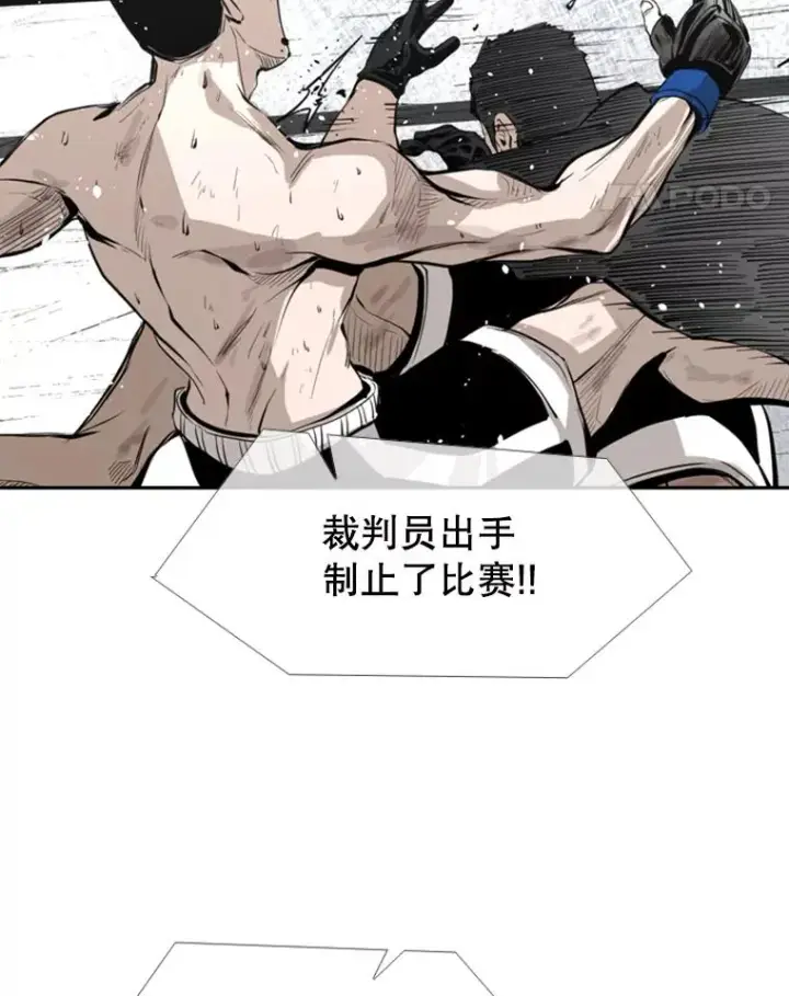 漫画《鲨鱼》154.截拳道的威力第46张图