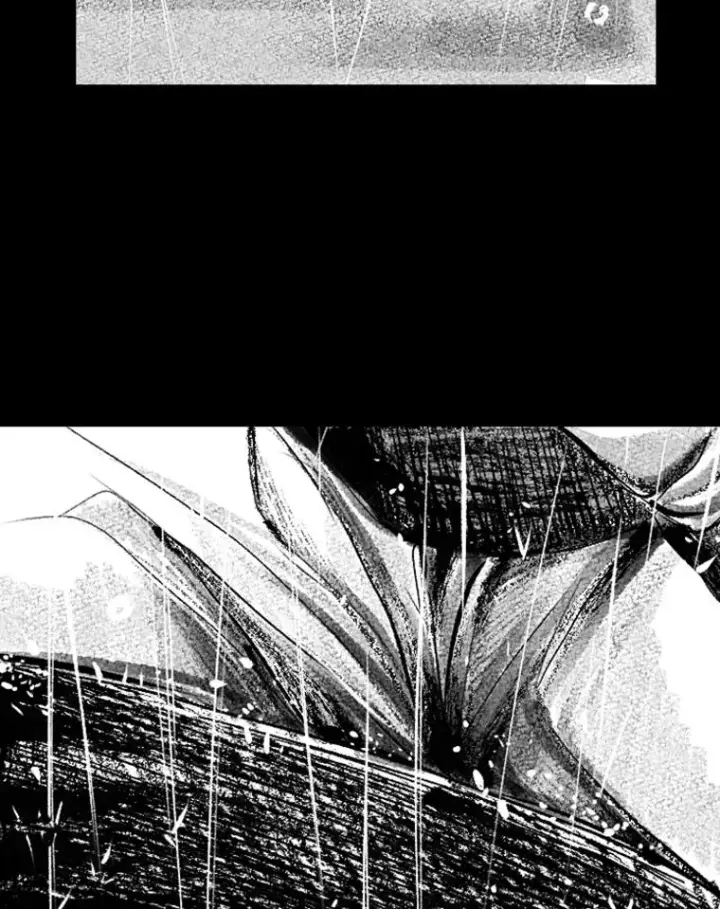 漫画《鲨鱼》156.他上场了第24张图