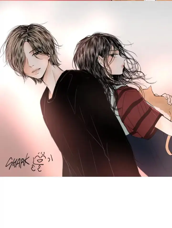 漫画《鲨鱼》160.不屈的斗魂第10张图
