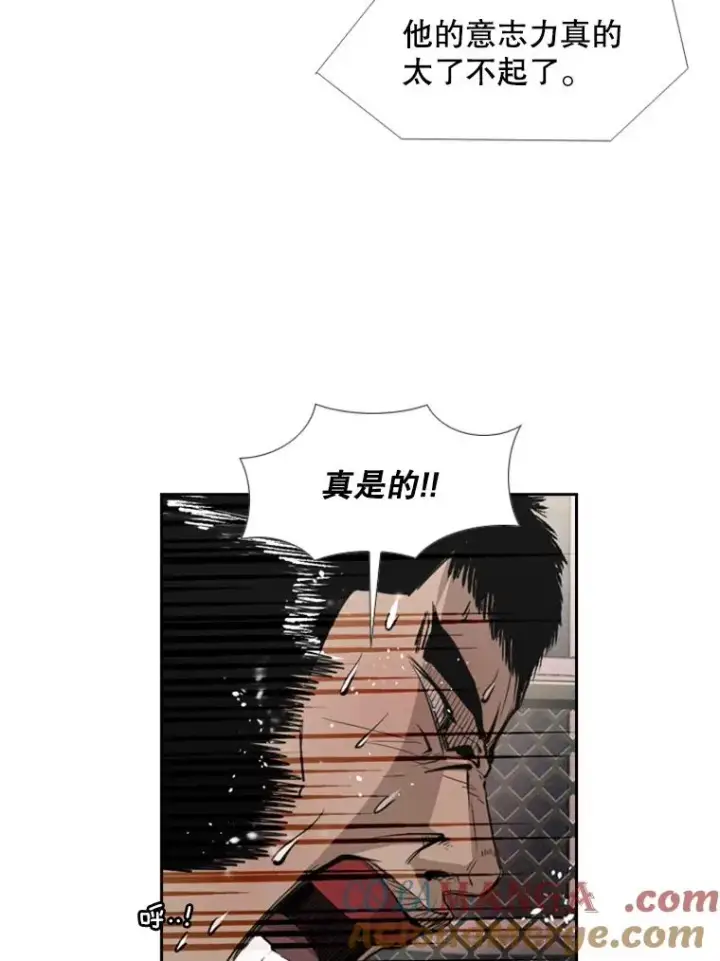 漫画《鲨鱼》160.不屈的斗魂第53张图
