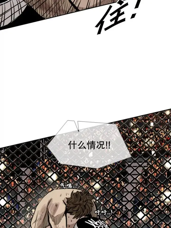 漫画《鲨鱼》160.不屈的斗魂第59张图