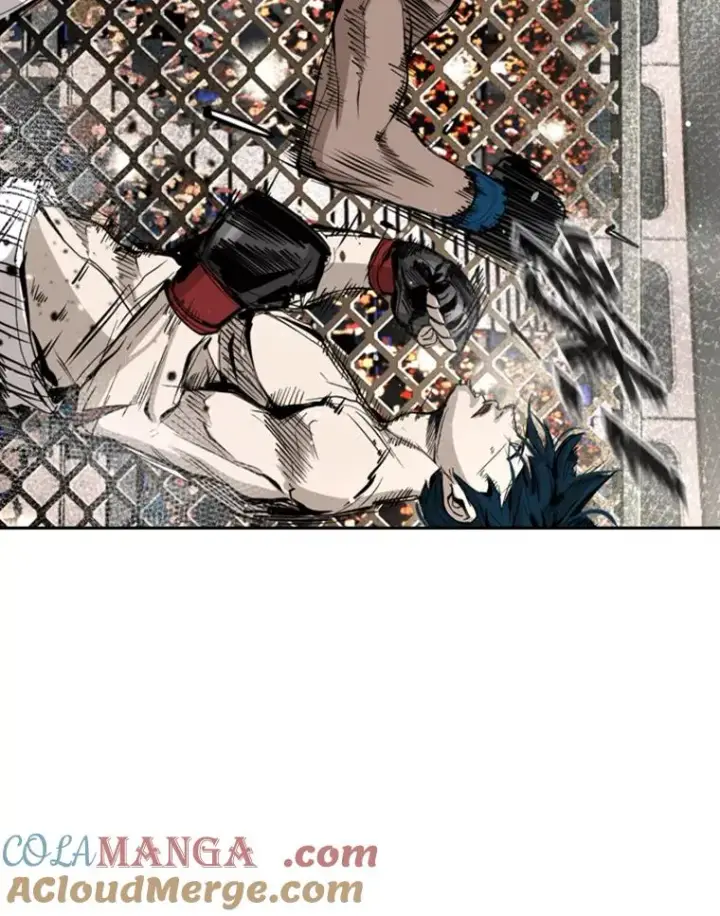 漫画《鲨鱼》166.好戏上演第17张图