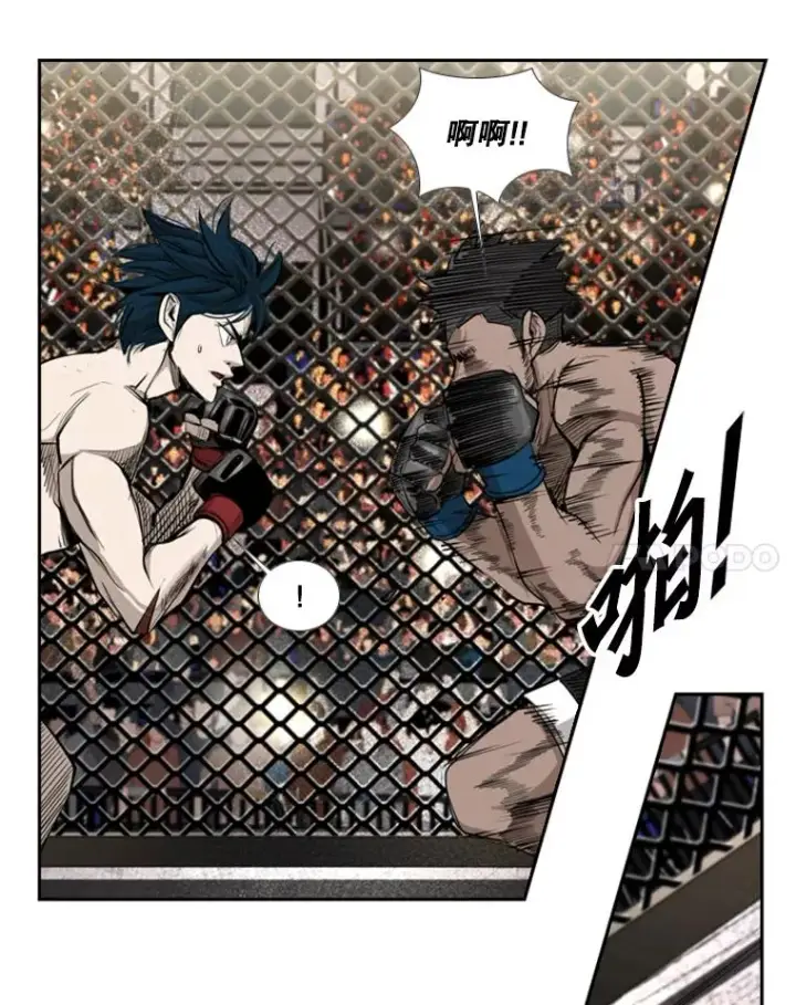 漫画《鲨鱼》166.好戏上演第39张图