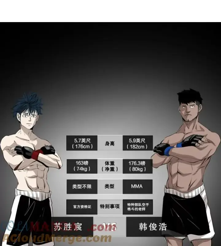 漫画《鲨鱼》166.好戏上演第9张图