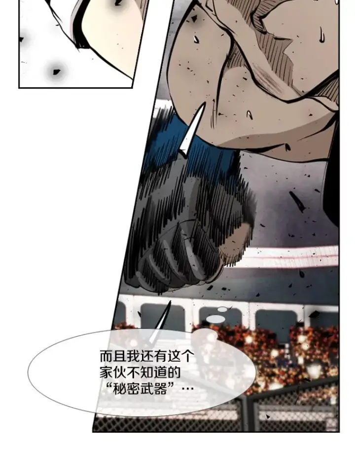漫画《鲨鱼》174.大块头对战独眼龙（2）第36张图